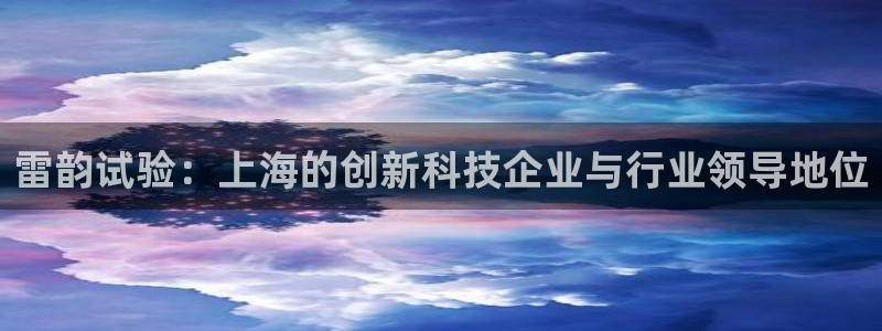 火烧连环船cq9电子：雷韵试验：上海的创新科技企业与行业领导