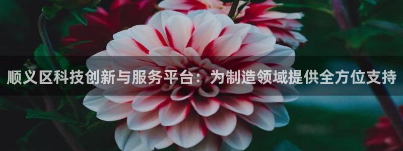 cq9传奇电子 水世界：顺义区科技创新与服务平台：为制造领域