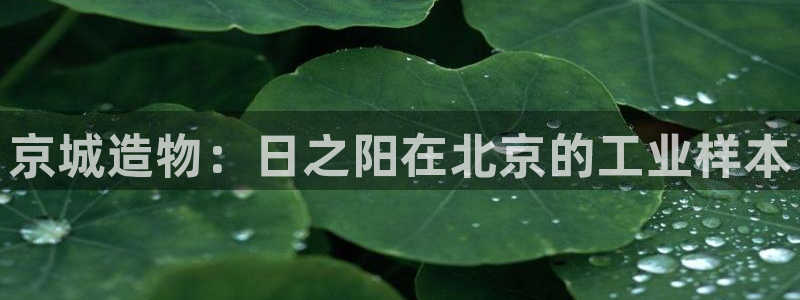 cq9电子舞爆分：京城造物：日之阳在北京的工业样本