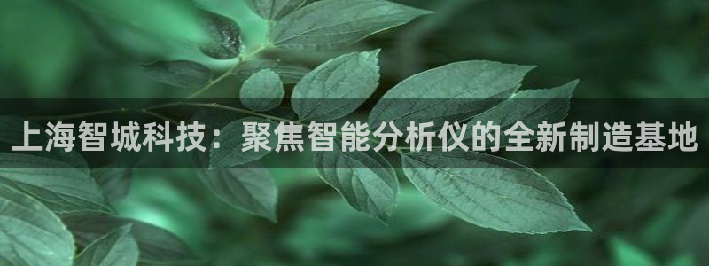 cq9电子网：上海智城科技：聚焦智能分析仪的全新制造基地