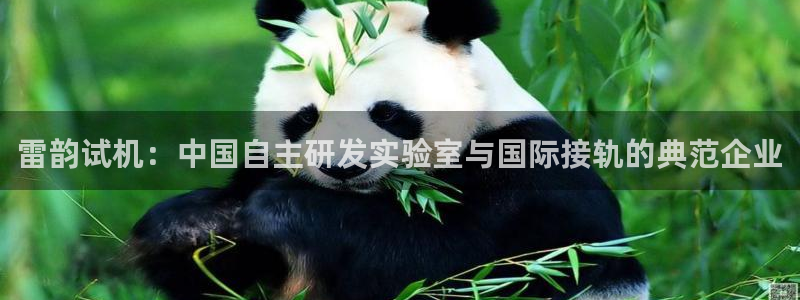 cq9电子是哪国的：雷韵试机：中国自主研发实验室与国际接轨的