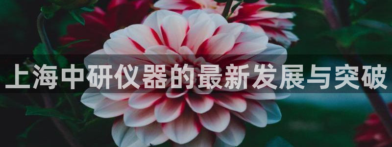 CQ9电子进转秘诀：上海中研仪器的最新发展与突破