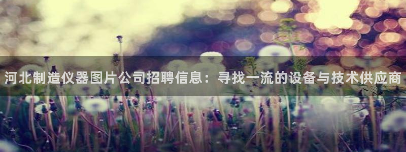 cq9电子余额：河北制造仪器图片公司招聘信息：寻找一流的设备