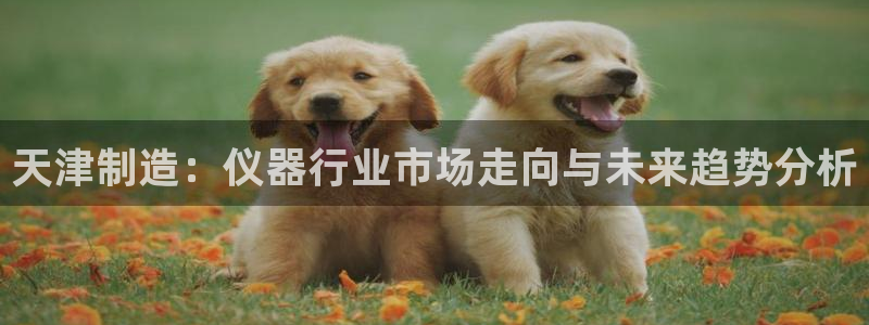 传奇cq9电子厂：天津制造：仪器行业市场走向与未来趋势分析