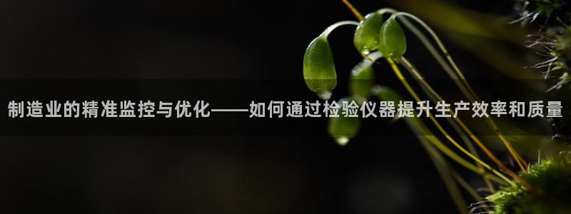 cq9电子拳霸：制造业的精准监控与优化——如何通过检验仪器提